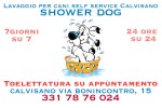 Lavaggio cani Calvisano