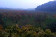 Agriturismo il Rovere14