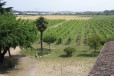 Agriturismo il Rovere15