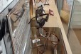 Ottica Marcolini Botticino20