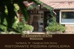 Ristorante Pizzeria Il Grappolo D'oro Castiglione delle Stiviere