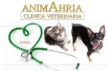 Clinica Veterinaria Animahria Calcinato