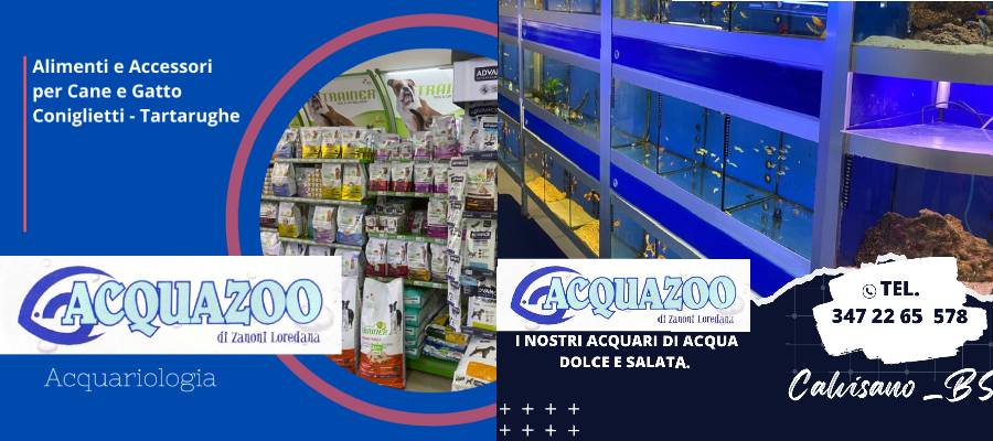 acquazoocalvisano