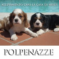 Allevamento Cani Brescia Polpenazze